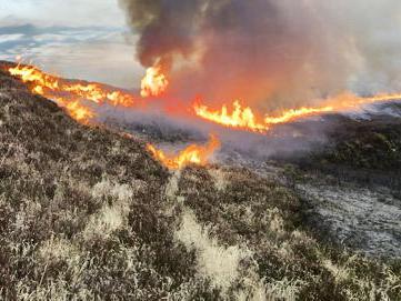 Almost 180 farmers' payments cut due to burning and overclaiming land Almost 180 farmers' payments cut due to burning and overclaiming land