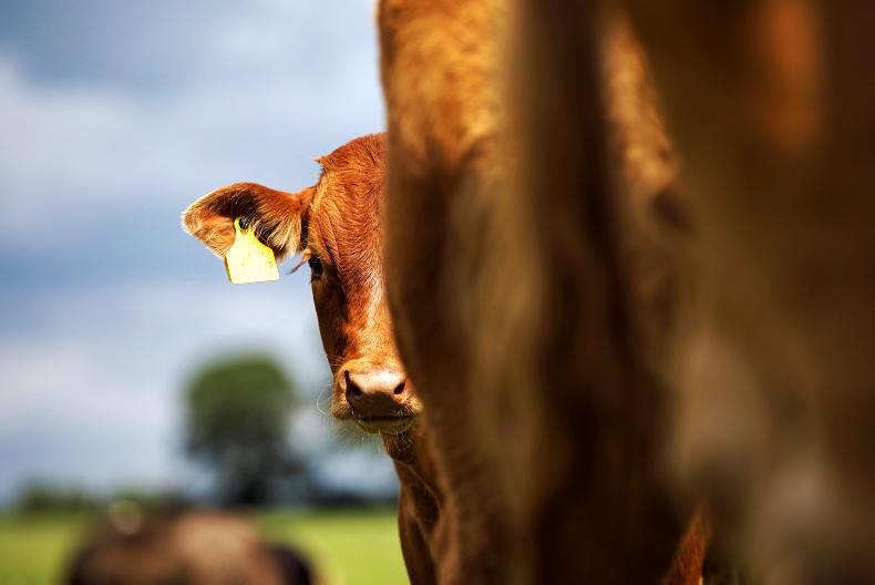 Department opens €40m BEEP-S Department opens €40m BEEP-S