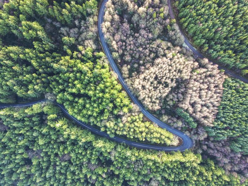 Understanding multipurpose forestry Understanding multipurpose forestry