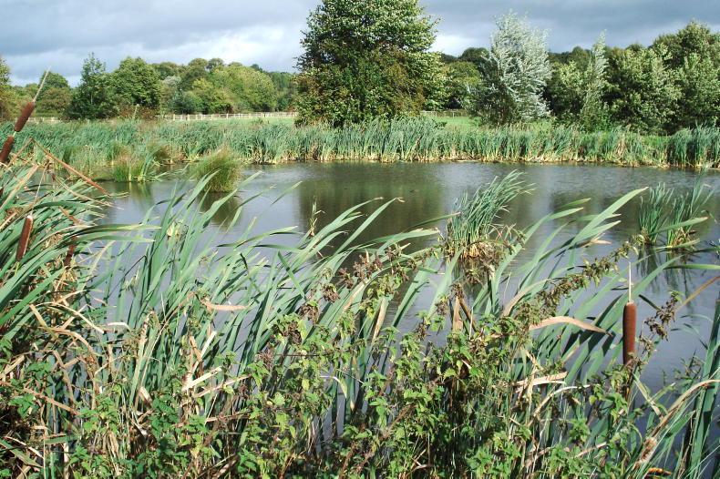‘Drumlin wetlands EIP’ under consideration by Monaghan County Council ‘Drumlin wetlands EIP’ under consideration by Monaghan County Council
