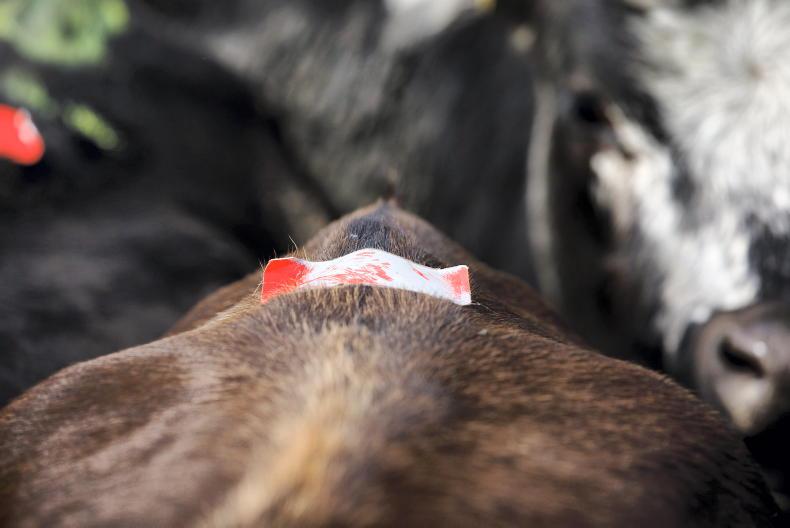 Dairy Management: breeding, fertiliser for silage ground and lime Dairy Management: breeding, fertiliser for silage ground and lime