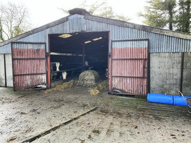 Five blocks of land for sale in Cavan Free