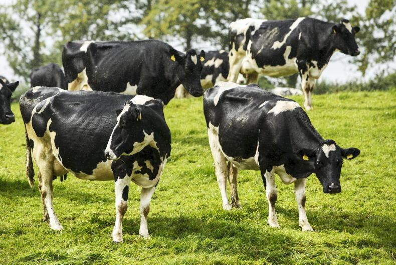 Agri jobs: dairy farm operatives required Agri jobs: dairy farm operatives required
