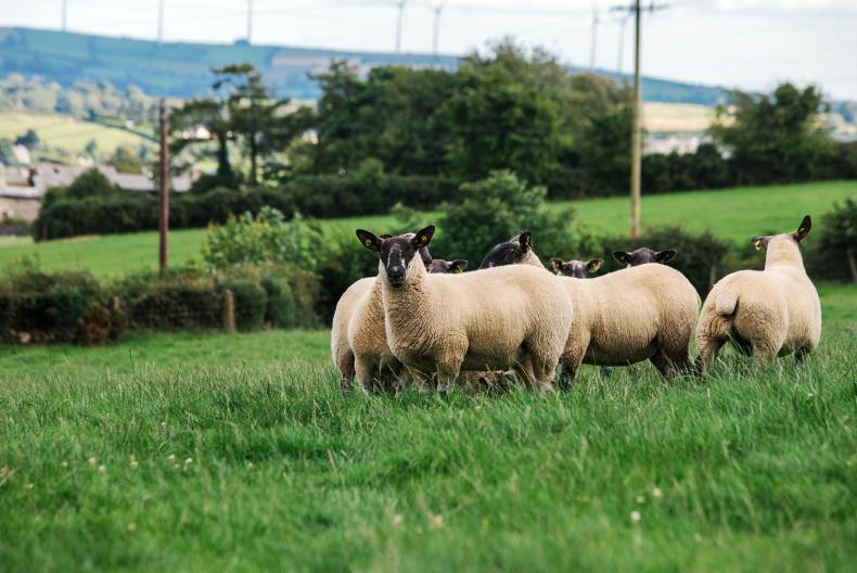 Weekend weather: settled conditions turning cooler on Easter Sunday Weekend weather: settled conditions turning cooler on Easter Sunday