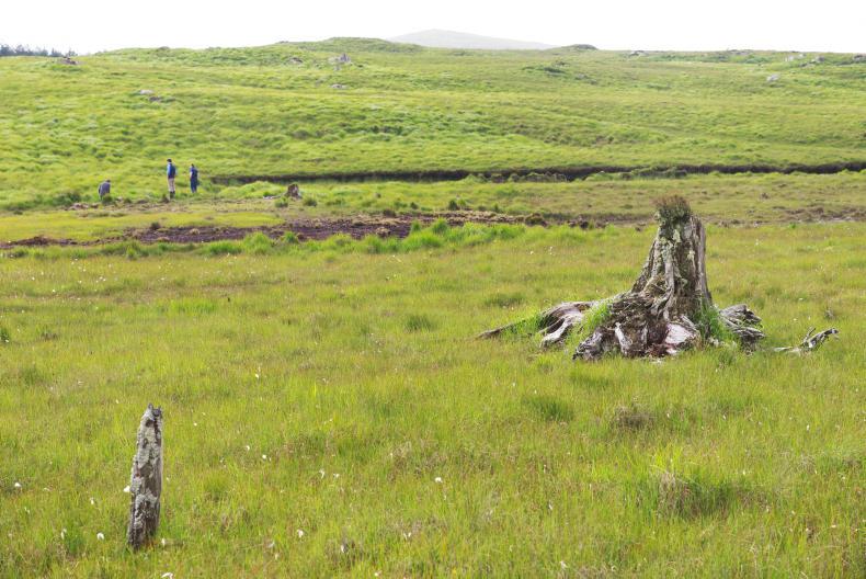 Farmers believe results-based pearl mussel payments are ‘fair and accurate’ Farmers believe results-based pearl mussel payments are ‘fair and accurate’