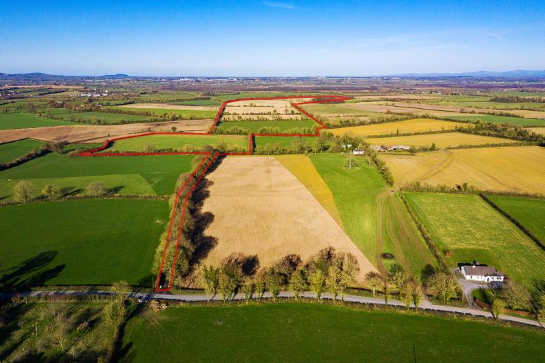 Farm of good land for sale in Kildare Farm of good land for sale in Kildare