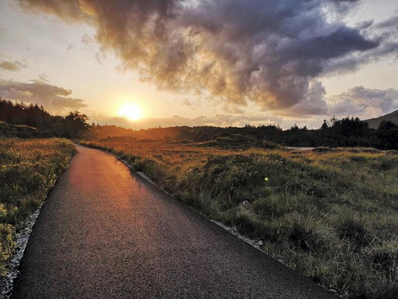 Galway-Athlone greenway route to wait for landowner consultation Galway-Athlone greenway route to wait for landowner consultation