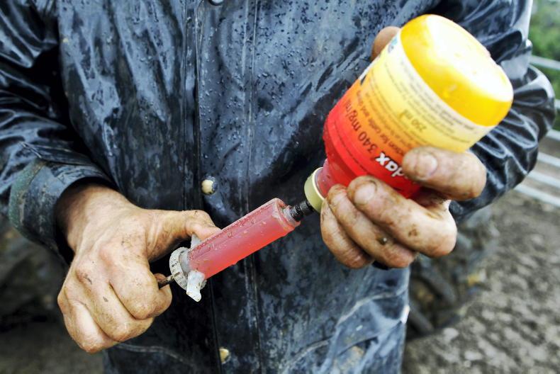 Attorney General's advice sought in vet medicines row Attorney General's advice sought in vet medicines row