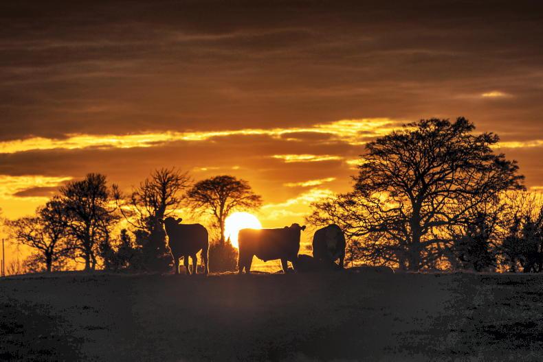 Agri-food 2030: ‘future income sources may not be the same as today’ Agri-food 2030: ‘future income sources may not be the same as today’