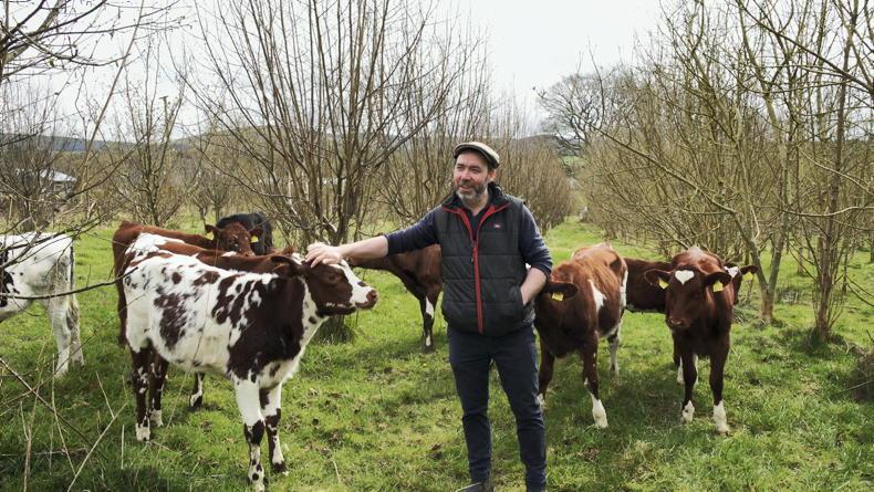 Draft agri food strategy 2030 released Draft agri food strategy 2030 released