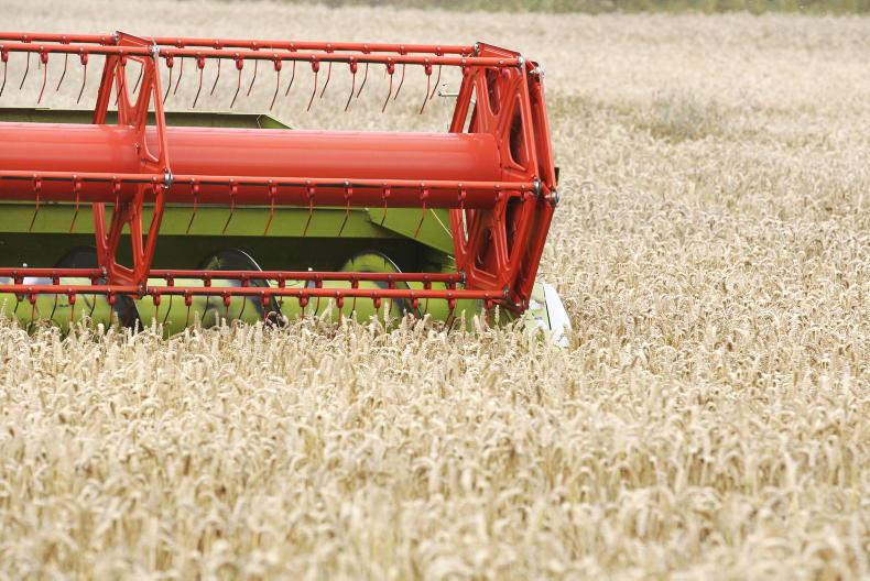 Grain price hike provides forward selling opportunity Grain price hike provides forward selling opportunity