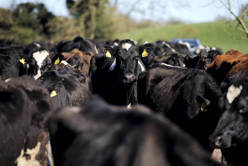 Agri jobs: dairy operatives wanted around the country Agri jobs: dairy operatives wanted around the country