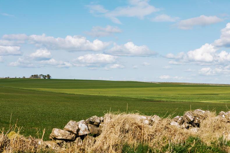 Weekend weather: highest temperatures of 18°C forecast Weekend weather: highest temperatures of 18°C forecast