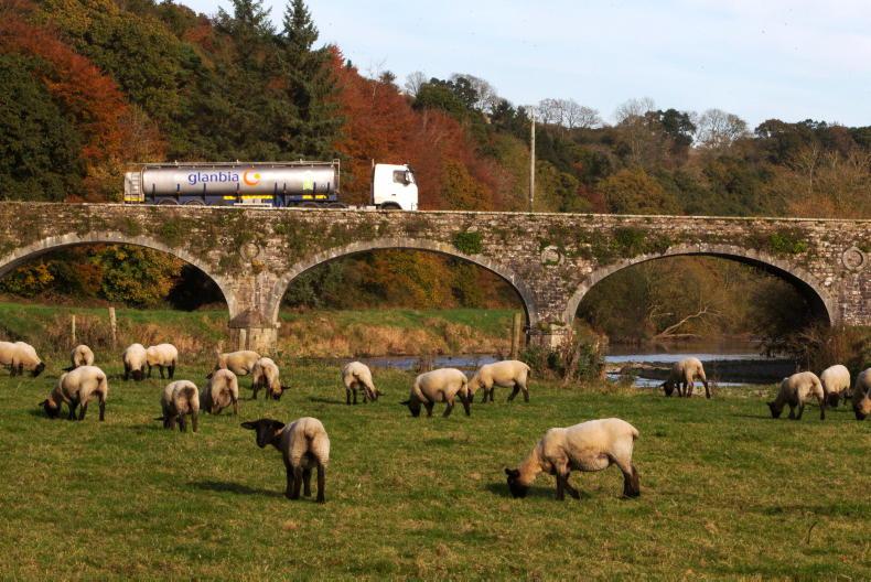 Irish food and drink activity becoming 'highly globalised' – CSO Irish food and drink activity becoming 'highly globalised' – CSO
