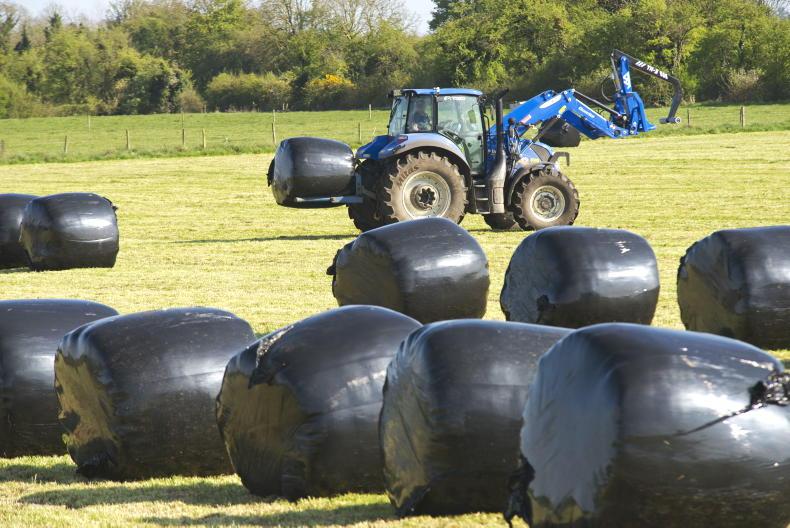 Beef Management: scheme deadlines and losing focus with late-calving cows Beef Management: scheme deadlines and losing focus with late-calving cows