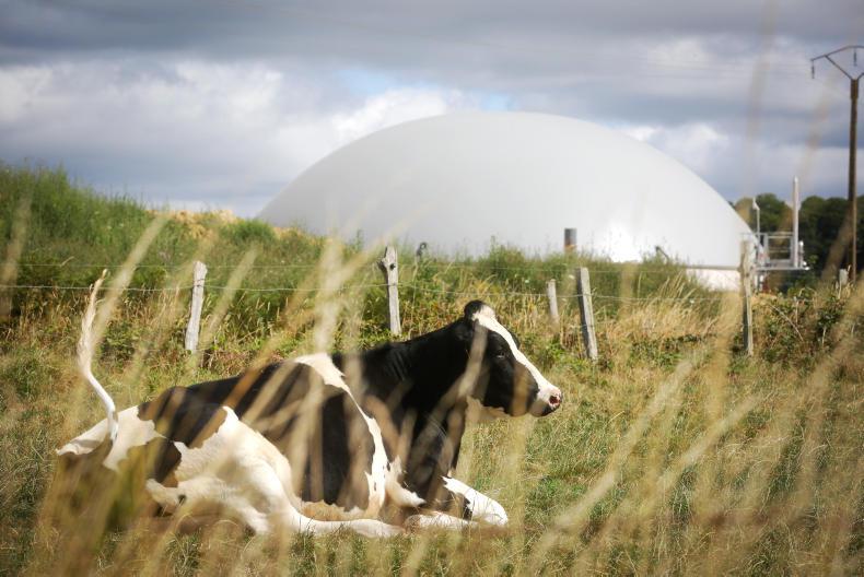 Teagasc launches new anaerobic digestion project Teagasc launches new anaerobic digestion project