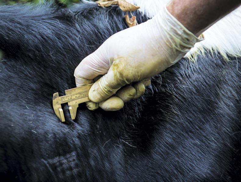 Farmers to pay for new TB tests Farmers to pay for new TB tests