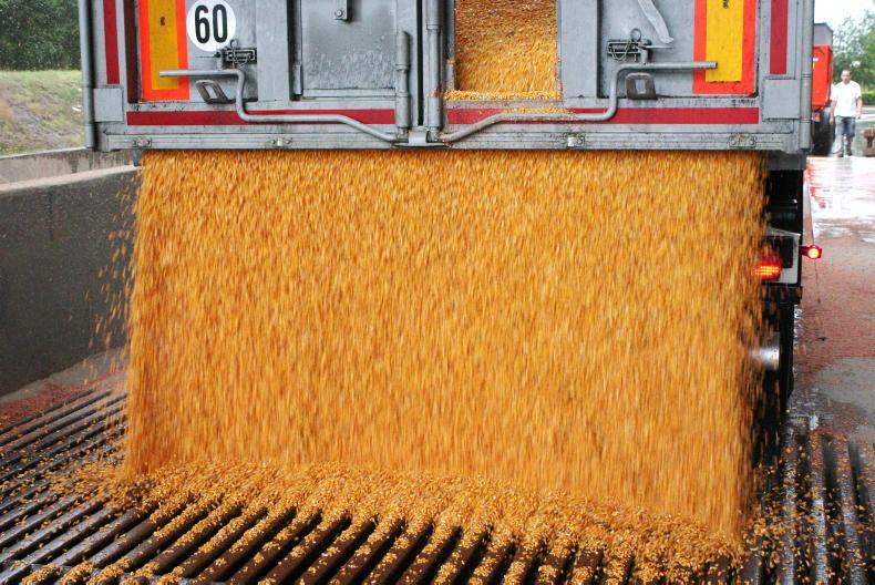 Grain production on the increase Grain production on the increase