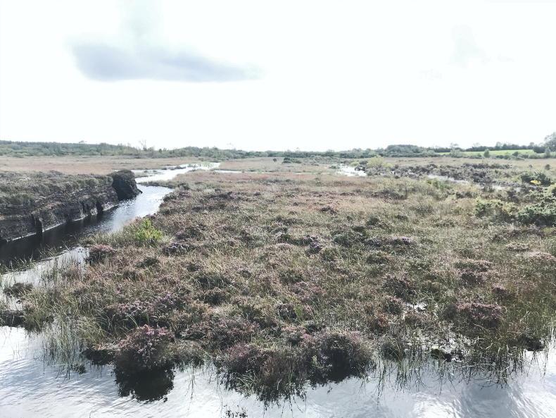 NPWS and Intel team up to rewet 60ha of Wicklow bog NPWS and Intel team up to rewet 60ha of Wicklow bog