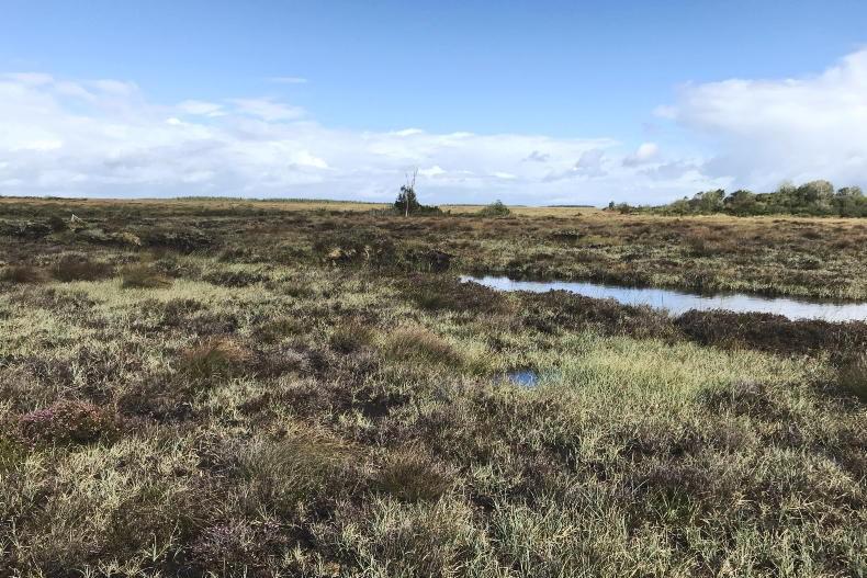 Farmers are central to conservation efforts – Noonan Farmers are central to conservation efforts – Noonan