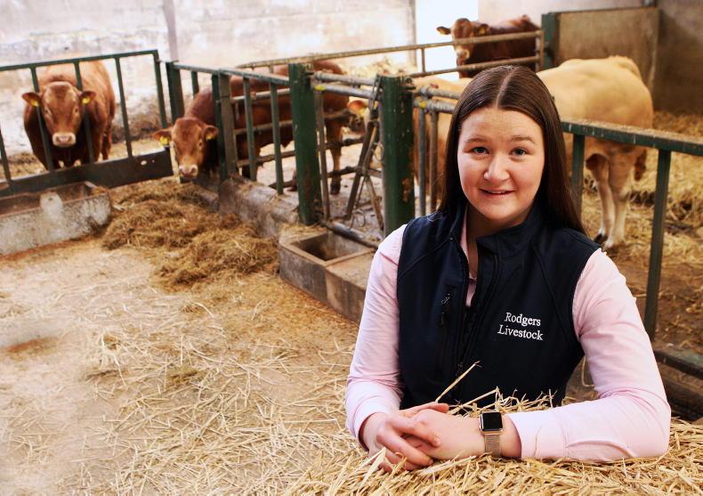 ‘I miss the buzz and adrenaline rush you get in the show ring’