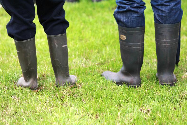 Farm biodiversity survey ‘critical’ to gauge future scheme success Farm biodiversity survey ‘critical’ to gauge future scheme success