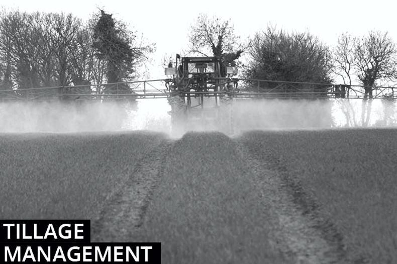 Tillage Management: urgency now to get fungicides applied Tillage Management: urgency now to get fungicides applied