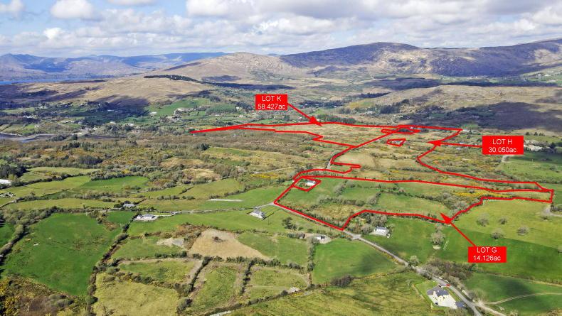 Huge interest in 103-acre Bantry farm Huge interest in 103-acre Bantry farm