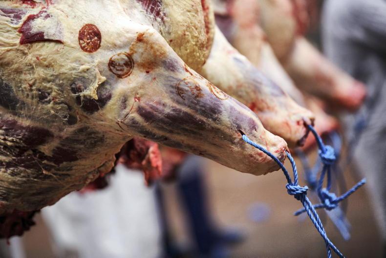 Beef Trends: factories still hungry for stock Beef Trends: factories still hungry for stock