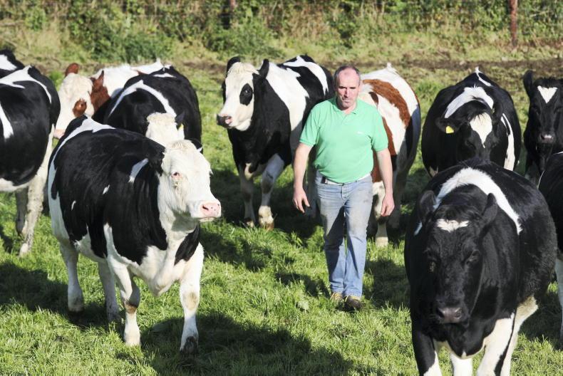 75% of inconclusives testing positive for TB – ICMSA 75% of inconclusives testing positive for TB – ICMSA