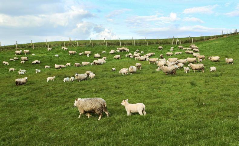 Sustained food price increases as global food index continues upward curve Sustained food price increases as global food index continues upward curve