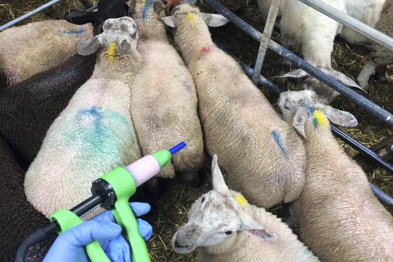 Assessing blowfly options as case incidence increases Assessing blowfly options as case incidence increases