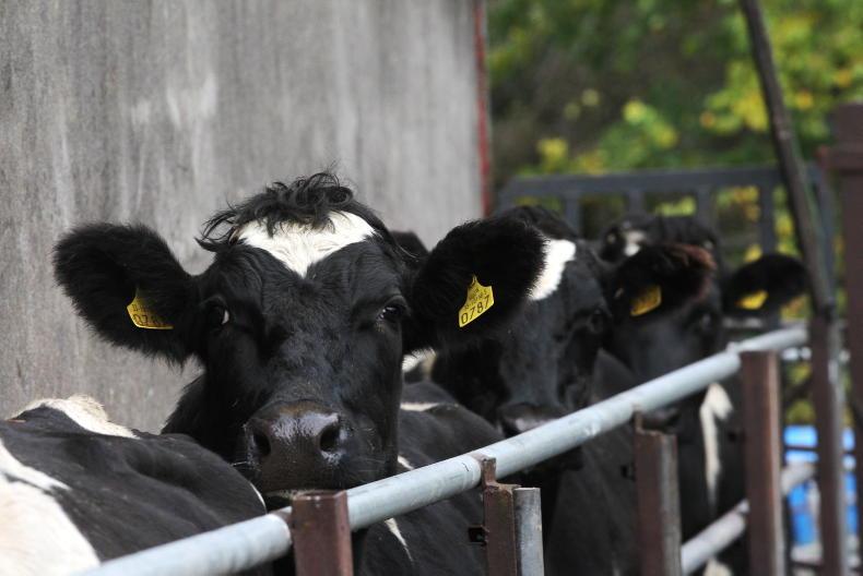 Rapid parasite test kit to tackle new EU vet rules Rapid parasite test kit to tackle new EU vet rules