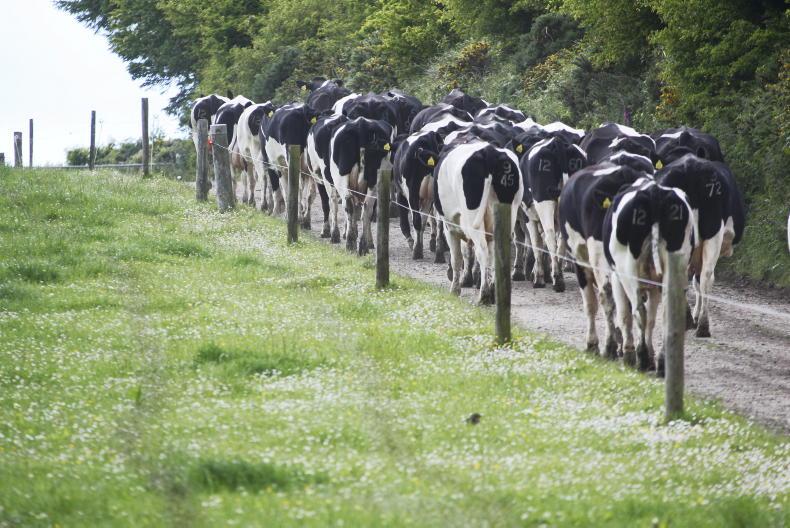 Strong correlation between good infrastructure and labour efficiency Strong correlation between good infrastructure and labour efficiency