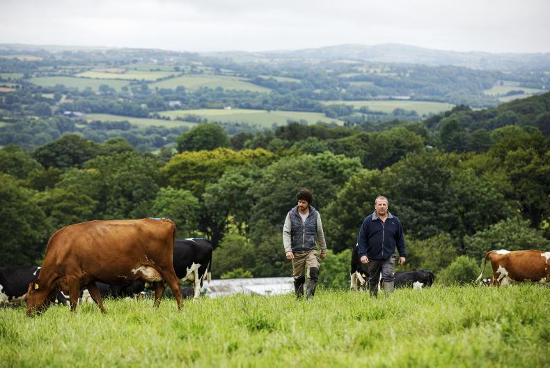 Farm Zero C: how it will work Farm Zero C: how it will work