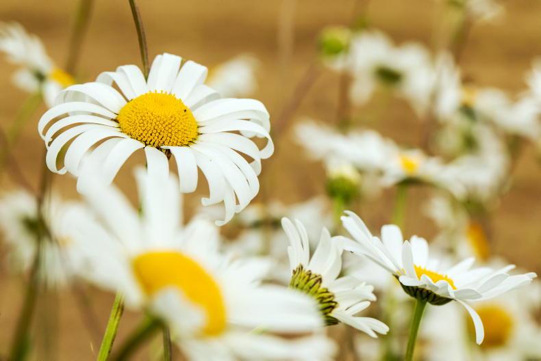 New results-based schemes trialled in England New results-based schemes trialled in England