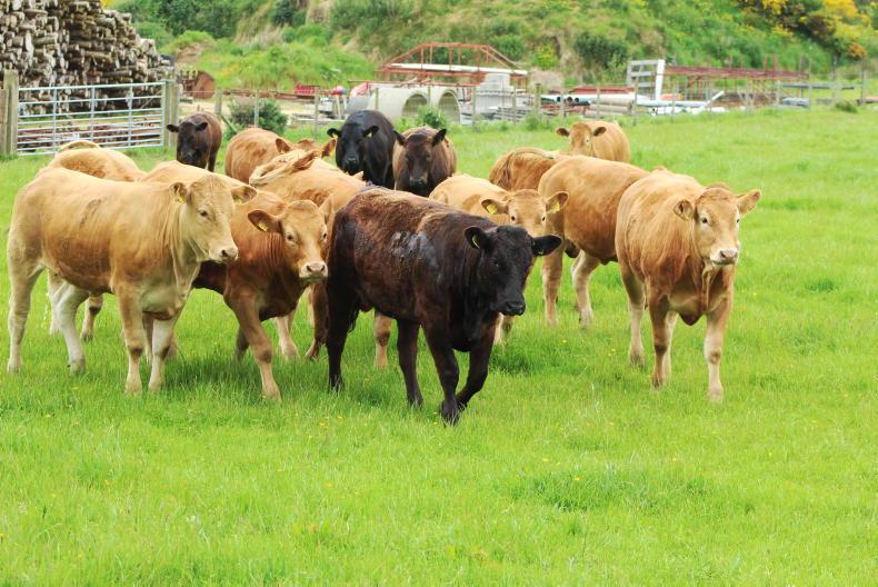 Mid-year review for ANC stocking rates Mid-year review for ANC stocking rates