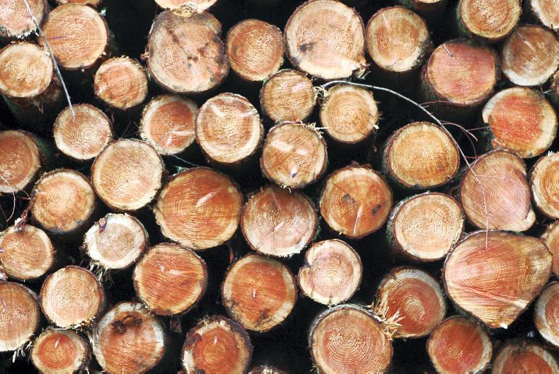 Map: almost 6,000 forestry licences awaiting approval