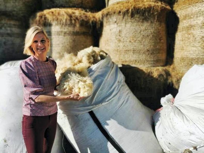 Experts needed for Department's wool feasibility study Experts needed for Department's wool feasibility study