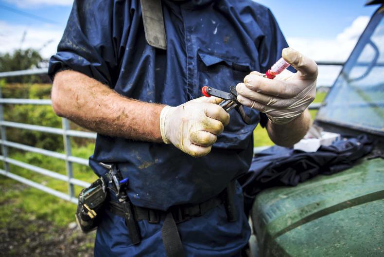TB levels rise again in first half of 2021 TB levels rise again in first half of 2021
