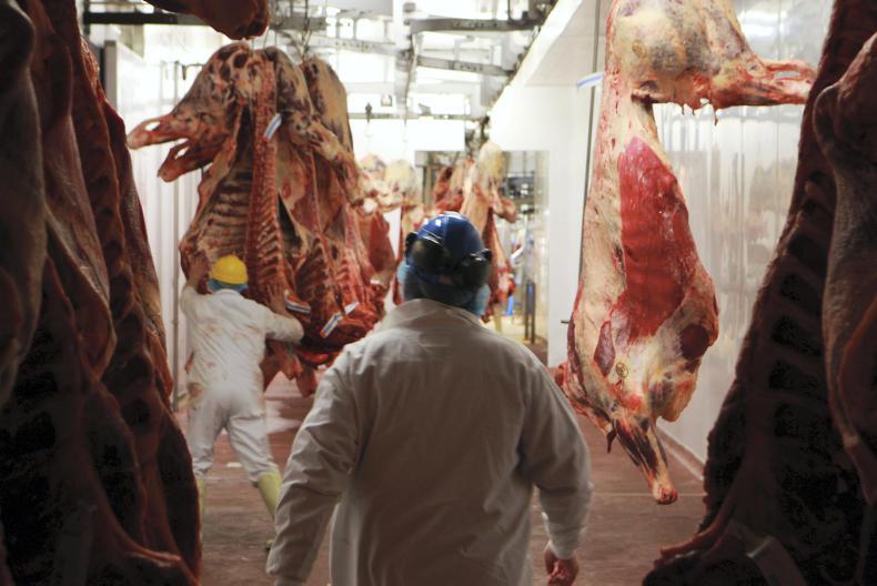 Meat factory worker shortage ‘challenging processing’ Meat factory worker shortage ‘challenging processing’
