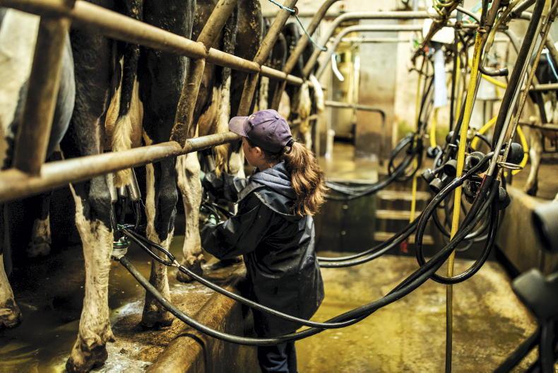 Agri jobs: robotic herd seeks farm assistant Agri jobs: robotic herd seeks farm assistant