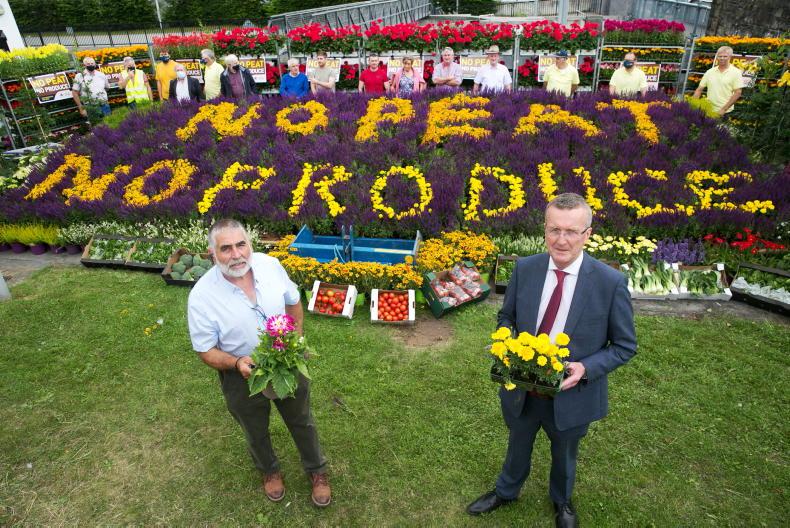 Government ‘destroying’ horticulture with peat restrictions – Cullinan Government ‘destroying’ horticulture with peat restrictions – Cullinan