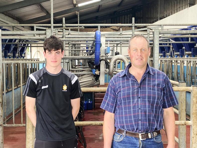 Tidy operator producing the goods in Clare Tidy operator producing the goods in Clare