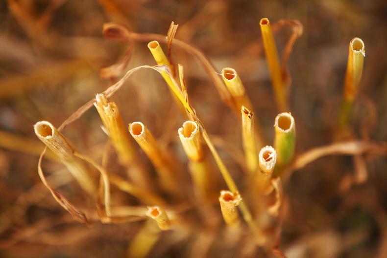 Tillage Management: good harvest progress to date Tillage Management: good harvest progress to date