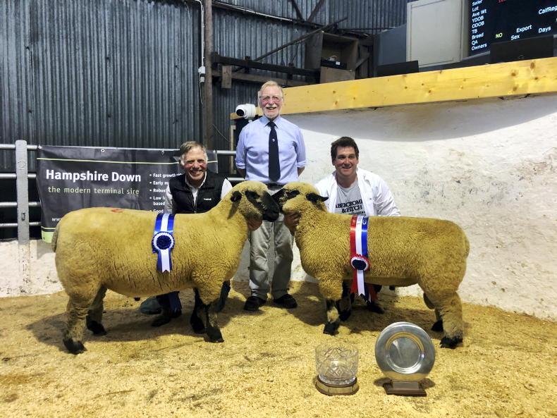 Powerpack takes pole placings in Tullow Powerpack takes pole placings in Tullow