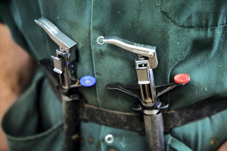 New TB rules to allow easier restocking of restricted herds New TB rules to allow easier restocking of restricted herds