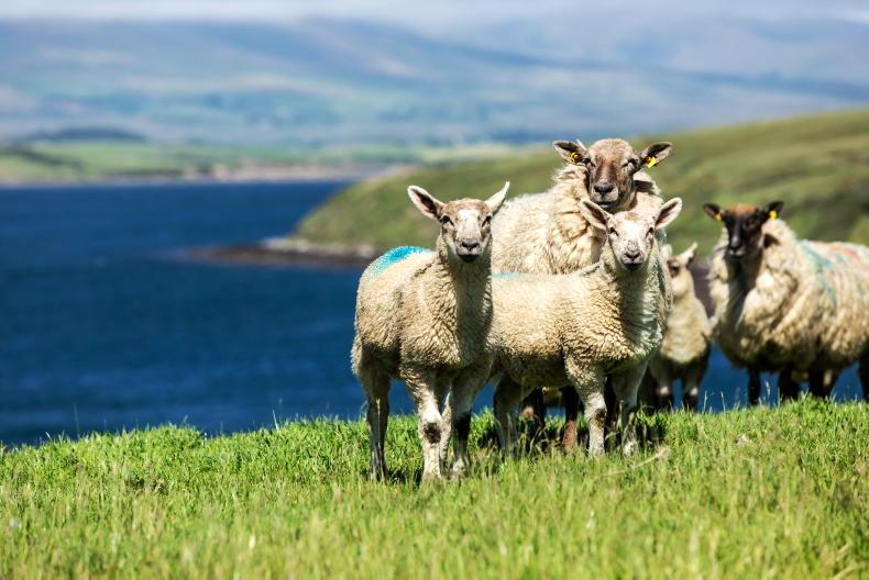 13-year temperature record set in July 13-year temperature record set in July