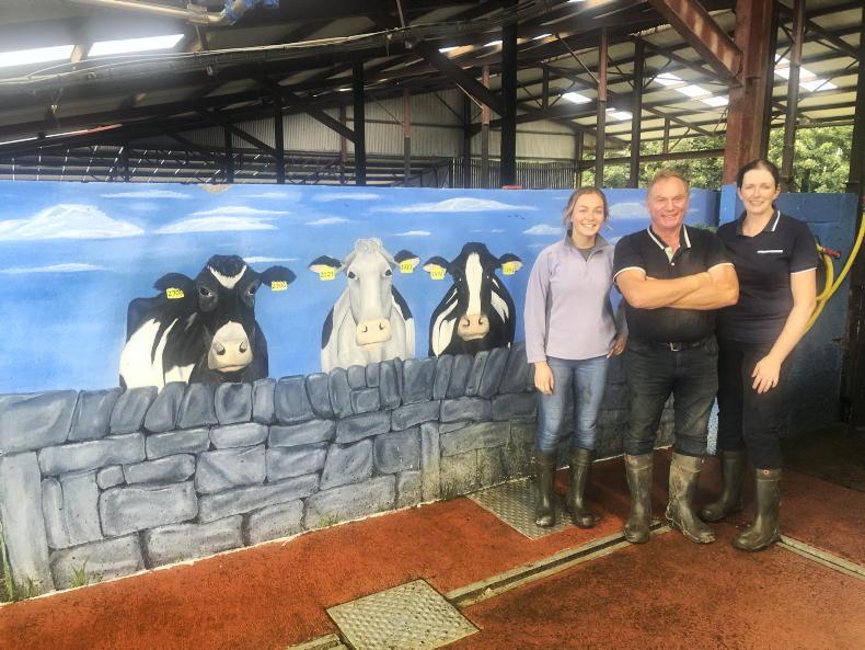 Paving the way for expansion on north Tipperary dairy farm 