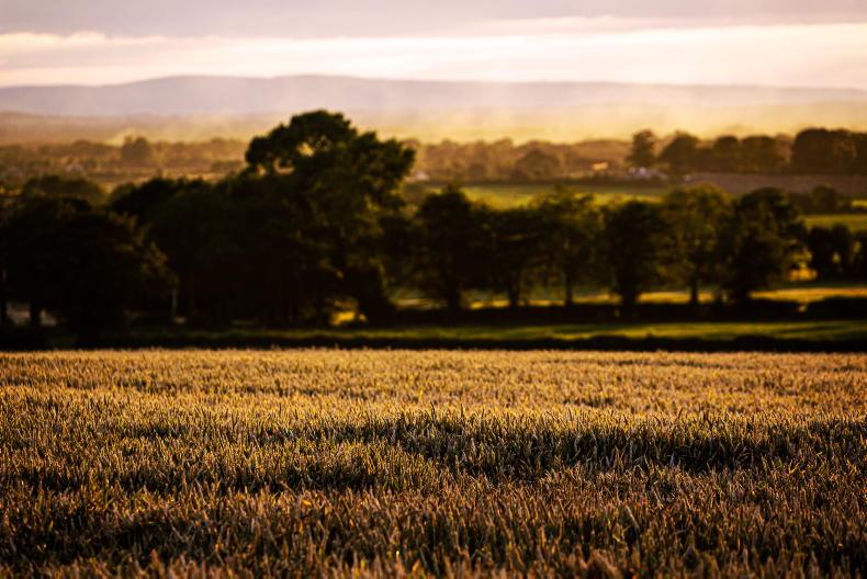 Weekly weather: sunny spells but showers forecast too Weekly weather: sunny spells but showers forecast too